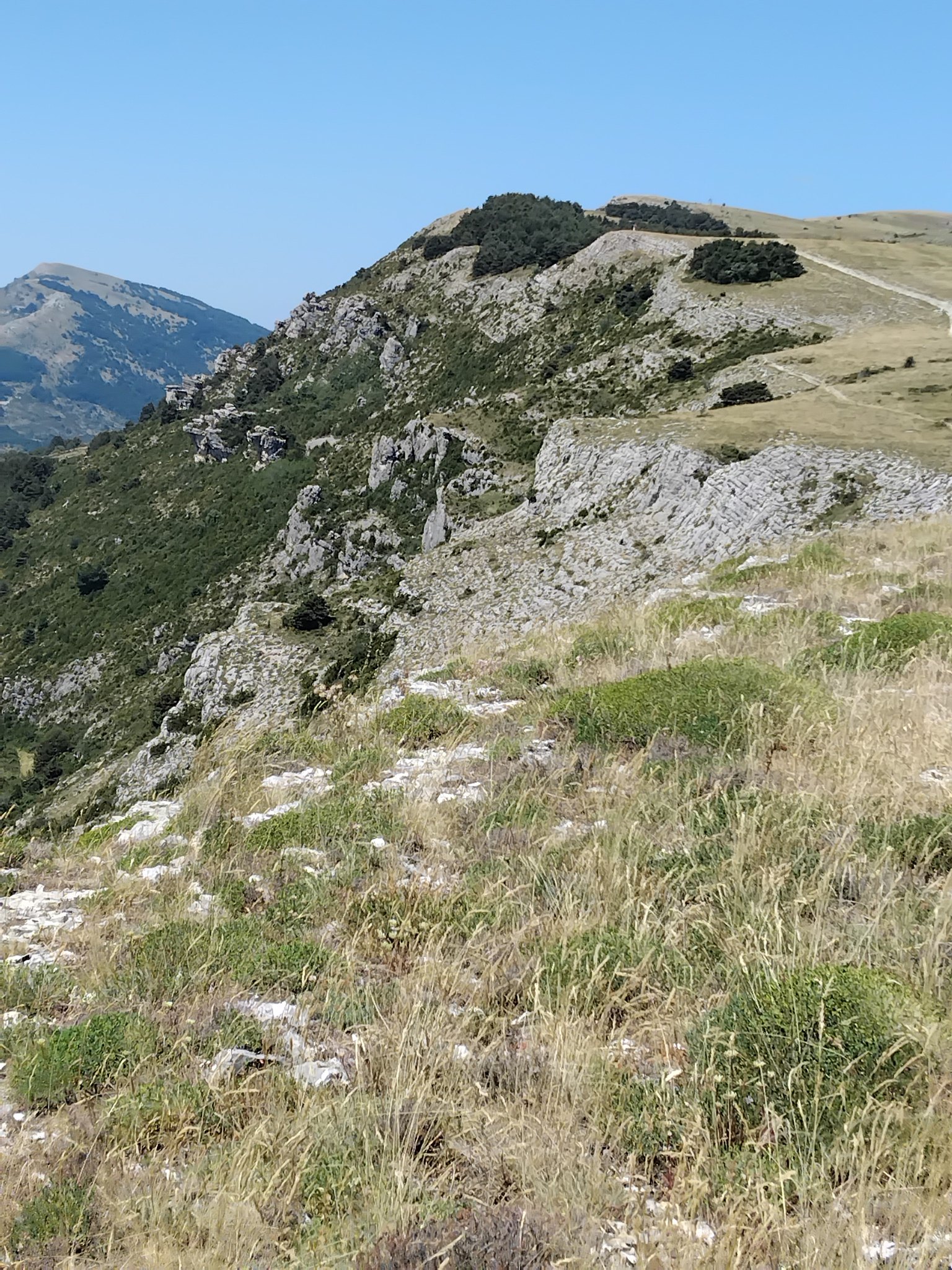 Plateau de calern - Rando Camping les gorges du loup