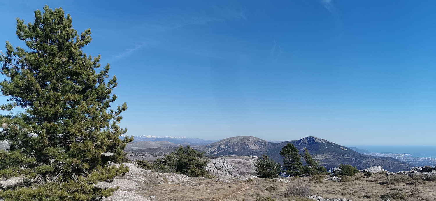 Randonnée au Haut Montet - Camping les gorges du loup